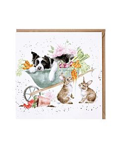 Wrendale Designs "Foraging Foray" Woodland Animal Birthday Card